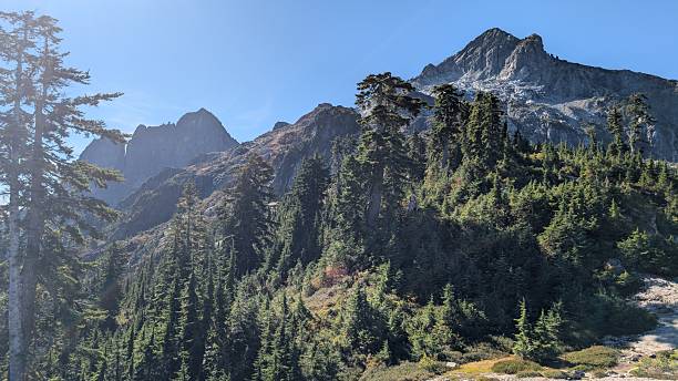 istock Rugged Alpine Peak Rises Above Autumn Foliage in Pacific Northwest Wilderness 2240208736