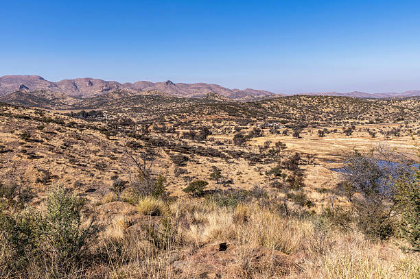 istock Arid and mountainous landscape in Namibia 2240209138