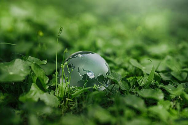 istock Sustainable Environmental Development concept, Crystal globe glass in green forest to protect nature. Eco-friendly ESG conservation care. Earth clean and ecology, Green business and Net zero concept. 2240210030