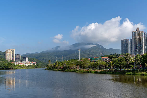Trees and urban buildings on both sides of the river