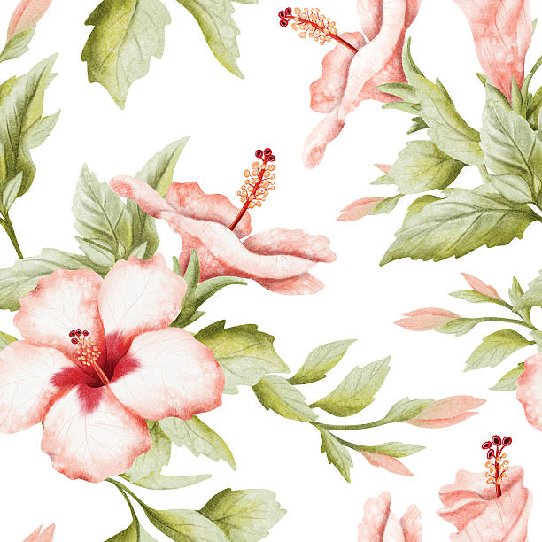 istock Summer floral watercolor seamless pattern on white with hibiscus buds and blooming flowers with leaves. Pastel red green spring garden repeat background in botanical style. Hand drawn floral clip art 2240213634