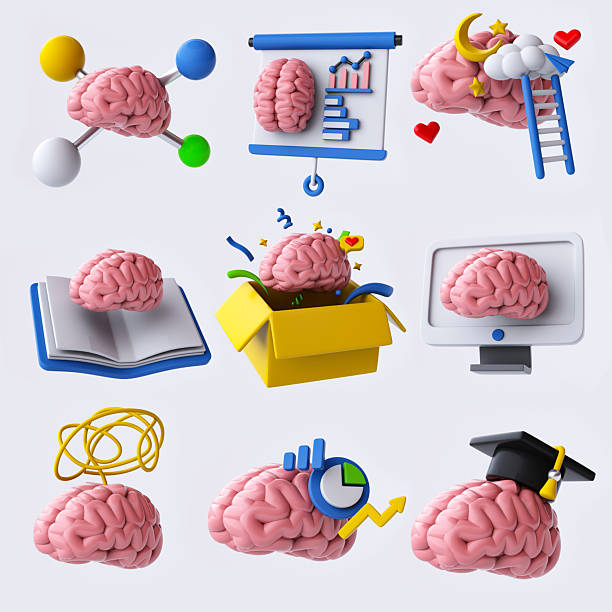 istock Set of brains in different states. 3D Rendering. 2240216296