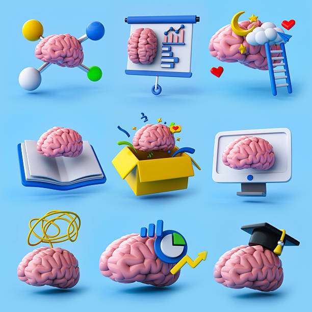 istock Set of brains in different states. 3D Rendering. 2240216297