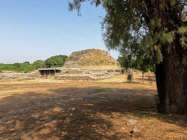 Dharmarajika stupa heritage site in Taxila showing ancient Buddhist monument with tree under bright daylight