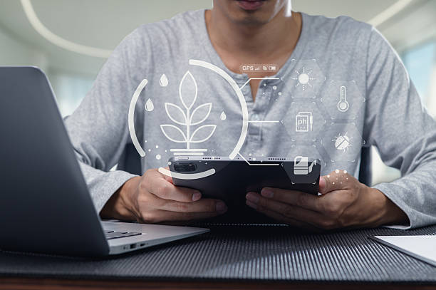 istock Person Using Mobile Device for Gardening and Plant Care Insights 2240216927