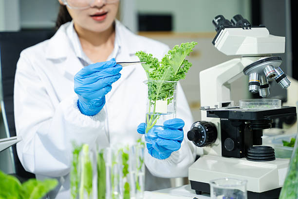 istock Food scientists in lab coats, testing samples, and analyzing food safety and quality in a modern laboratory environment. 2240219672