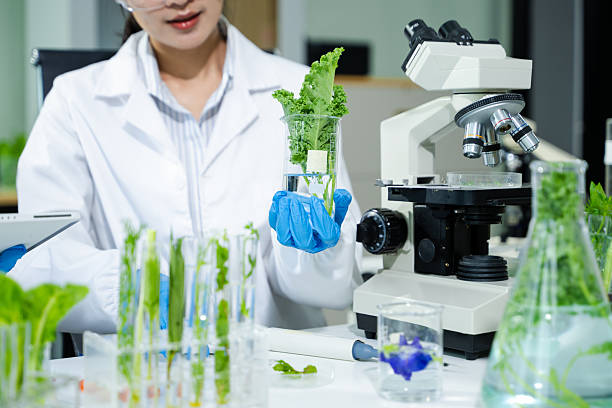 istock Food scientists in lab coats, testing samples, and analyzing food safety and quality in a modern laboratory environment. 2240219673
