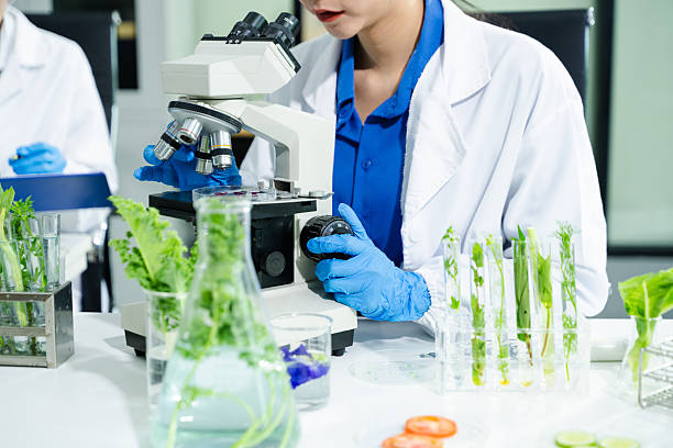 istock Food scientists in lab coats, testing samples, and analyzing food safety and quality in a modern laboratory environment. 2240219680