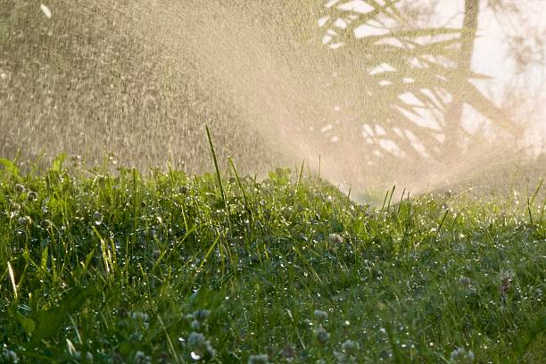 istock Close-up of irrigation system during dawn 2240220627