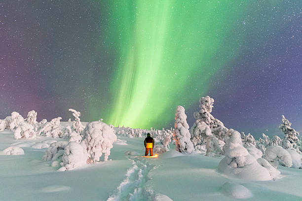 istock Hiker explores snowy forest under northern lights (aurora borealis), Finland 2240227004