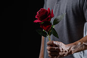Man Holding Single Red Rose in Dark Background Portrait Photography
