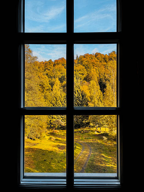 istock Autumn Forest Landscape Framed by Window – Interior View 2240231426