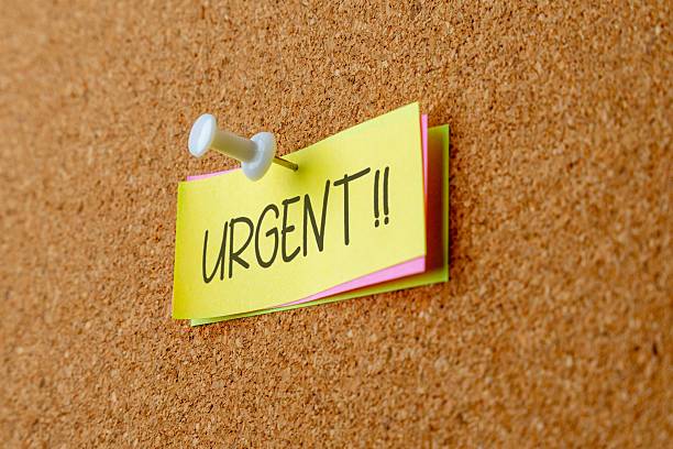 istock A note pinned to a corkboard displays the bold, handwritten word URGENT!!. 2240232177