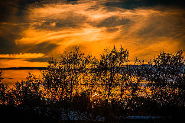 High-contrast nature scene capturing a fiery sunset. The sky glows intensely with orange and gold light, highlighting swirling cirrus clouds. Silhouettes of bare and leafy trees frame the horizon against the dramatic cloudscape.