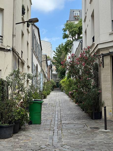 istock Charming cobblestone alley lined with potted plants and buildings under a blue sky. Paris. 2240235975
