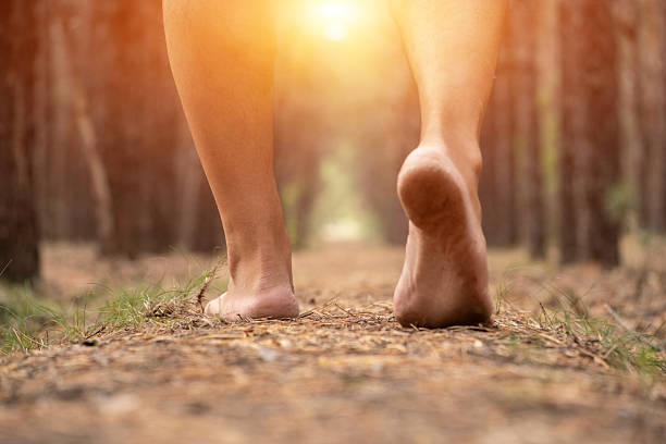 Closeup man legs strolling through forest against background bright sun. Concept healthy lifestyle and fitness