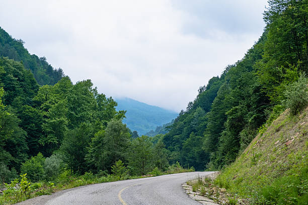 istock Landscape with an empty winding asphalt road through the forest on summer day. Road through forests in nature 2240237450