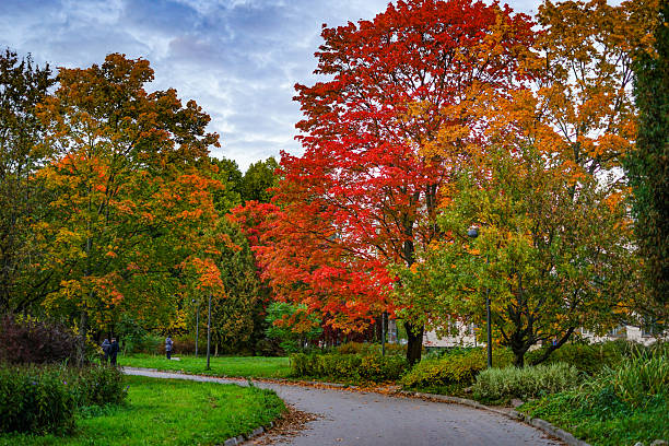 Russia, Saint Petersburg – October 10, 2025: An autumn path in a park with colorful trees