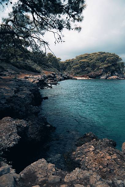 Turquoise water gently laps against jagged rocks in a quiet, hidden cove. The scene is framed by lush greenery and the play of sunlight on the water. It’s a peaceful, secluded paradise that feels untouched and pure.