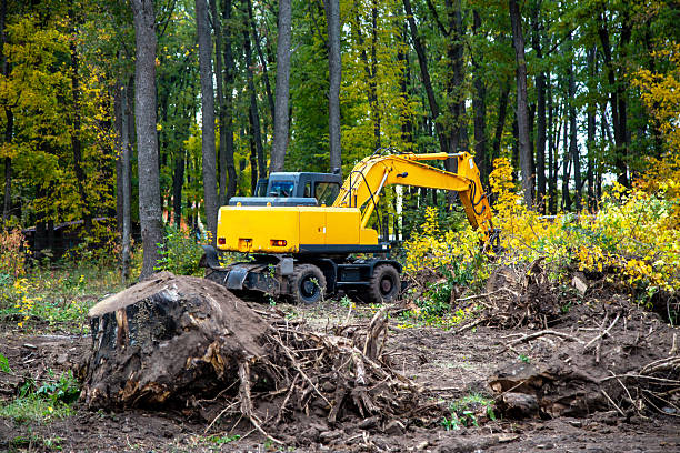 istock Yellow excavator clearing stumps in the forest 2240241003