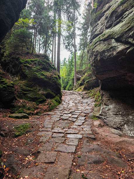 Teplice Nad Metuji, Czech Republic - October 05, 2025: Adrspach Teplice rocks natural reserve park. Scenic stone pathway winds through a lush forest landscape with towering trees and rocky formations