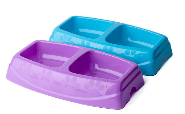 istock New plastic pet bowl isolated on white 2240244132