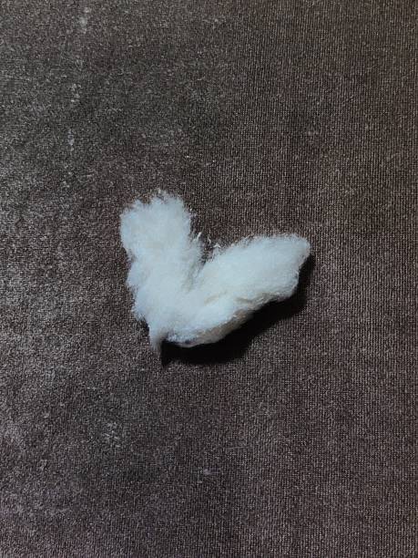 istock White Heart Object - HD stock photo 2240244261