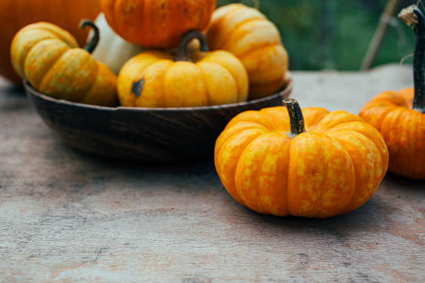 istock Many small, mini pumpkins in a bowl, on rustic wooden table, on rustic old wooden table with garden on background 2240254033