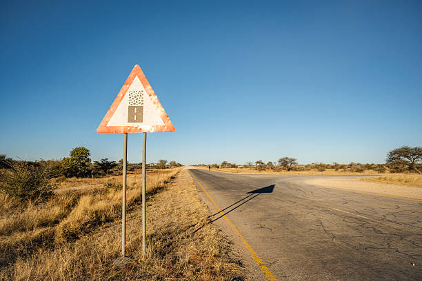 Paved road near North Windhoek, Namibia, with a traffic sign warning that a dirt road begins ahead. Rural landscape with trees and grassy sides. Road transitions from asphalt to unpaved surface, indicating upcoming rugged terrain.