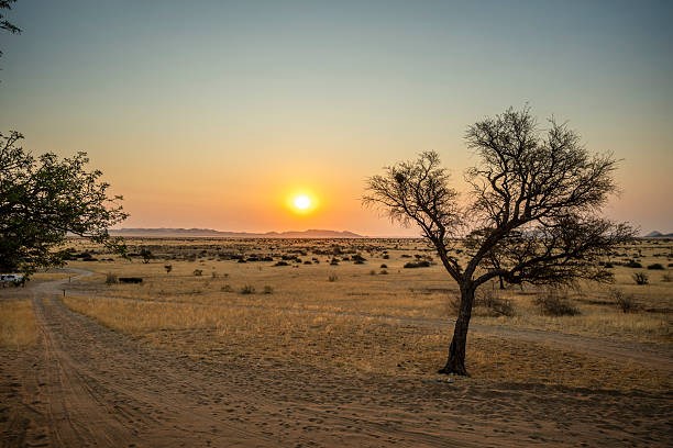 istock Scenic view from Camp Gecko, a tented camp and campsite in Namibia 2240261428