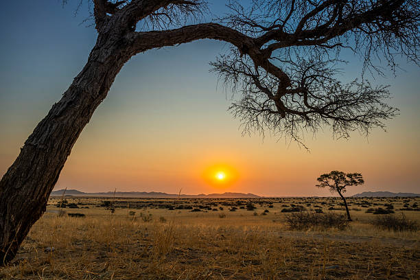 istock Scenic view from Camp Gecko, a tented camp and campsite in Namibia 2240261444