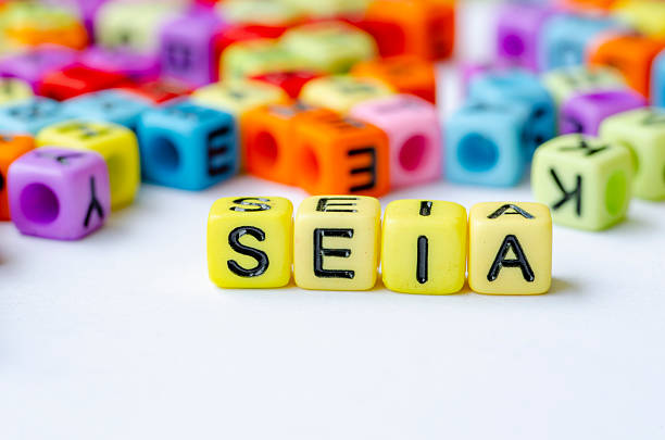 istock SEIA text on multicolored cube representing Social and Environmental Impact Assessment. Conservation concept. 2240265003