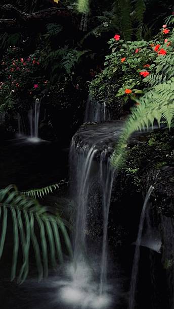 istock Beautiful waterfall in the tropical garden, long exposure shot with slow shutter speed 2240269556