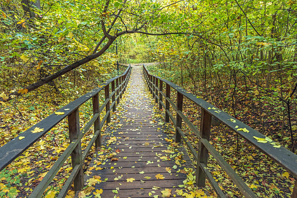 istock A wooden bridge with leaves on it 2240270656
