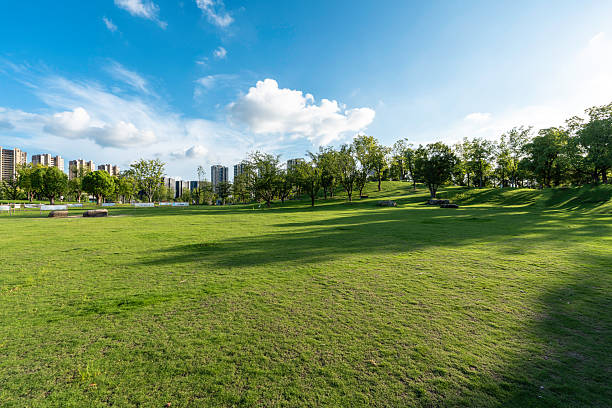 istock green lawn in city park 2240270882