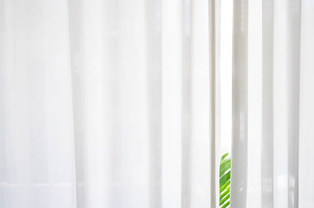A serene indoor setting featuring white curtains partially drawn back to reveal a green plant, creating a peaceful and refreshing atmosphere. The soft lighting enhances the tranquil mood, making it suitable for relaxation or meditation scenes.