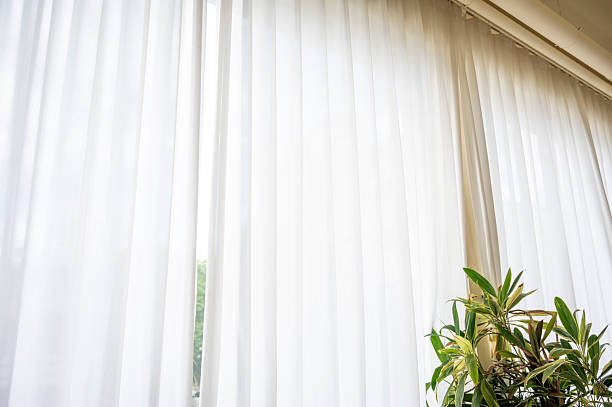 istock White Curtains with Green Plant 2240278932