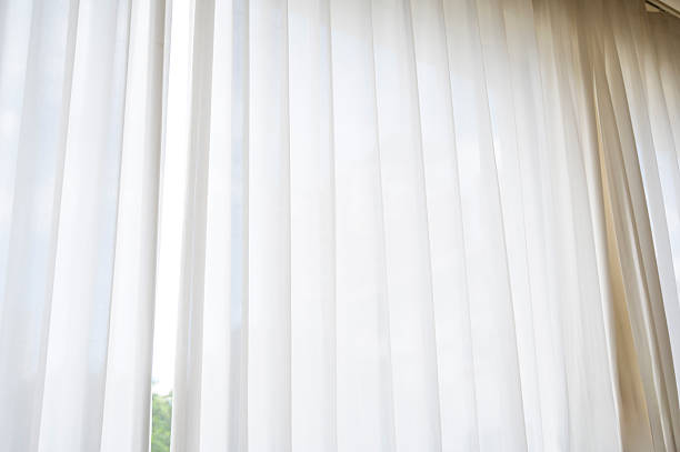 istock White Curtains with Green Plant 2240278933