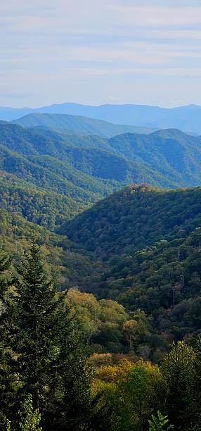 istock Smoky Mountain - Gatlinburg 2240282448
