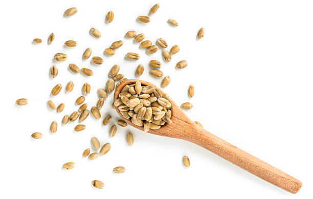 Wheat grains in a wooden spoon. Isolated on white.