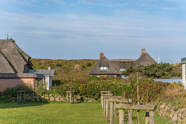 istock Thatched houses in landscape. 2240288475