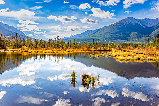 istock Picturesque Vermillion Lakes 2240289583