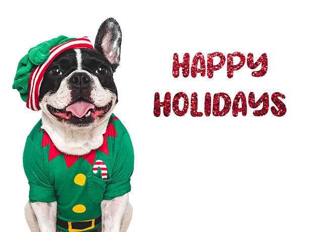 istock Merry Christmas and Happy New Year. Charming dog 2240290245