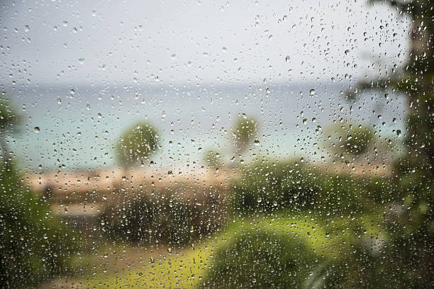istock autumn rainy weather with raindrops 2240290540