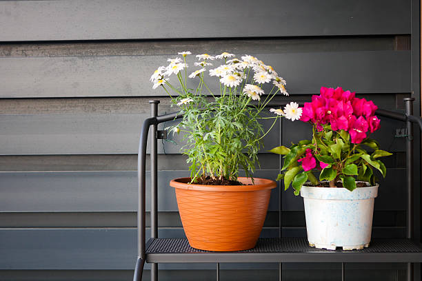 istock Bright flowers cheer a modern balcony 2240290962