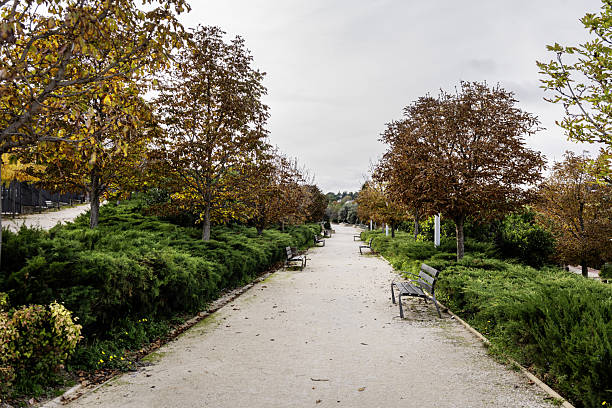 A long walk along a dirt path lined with wooden benches