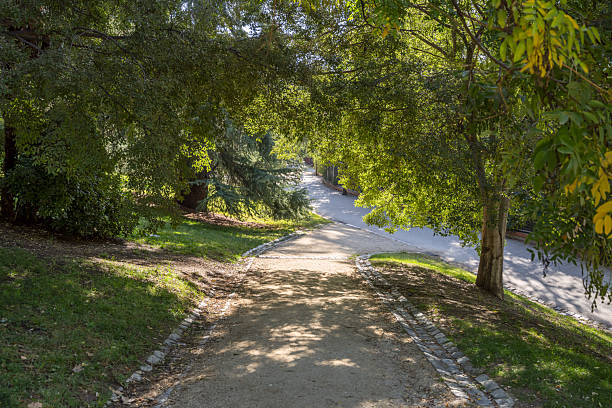 Dirt paths between gardens, trees and grass