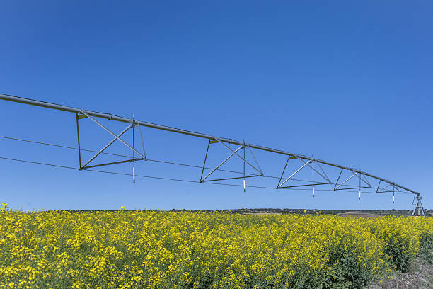 istock Every farmer knows the challenges and unpredictabilities that come with caring for the land. These challenges can be overwhelming when it comes to center pivot irrigation 2240297908