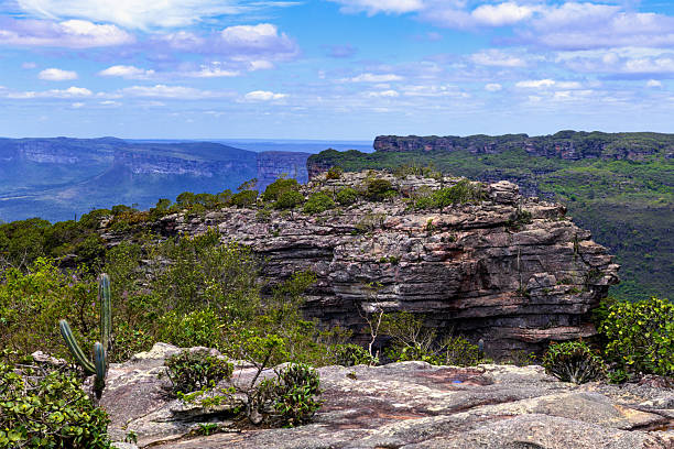 istock Chapada Diamantina Region in Brazil 2240300515