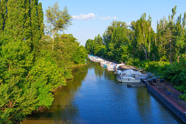 Mainz, Germany - June 19, 2025: Tranquil river view featuring several boats docked along a green-lined waterway under clear skies.